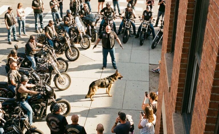 40 motorcyklister plötsligt stannade runt en K9-hund på trottoaren — det som såg ut som en konfrontation gömde något ingen förväntade sig