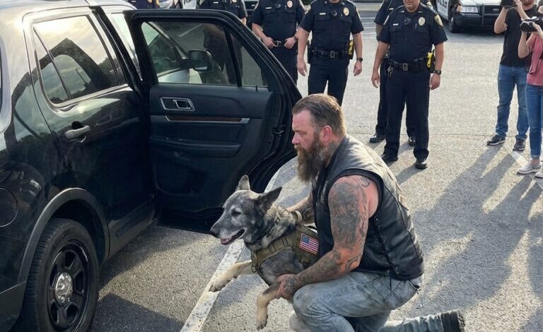 En jättelik motorcyklist bär en gammal polishund ut ur en patrullbil — det han gjorde härnäst tystade hela gatan