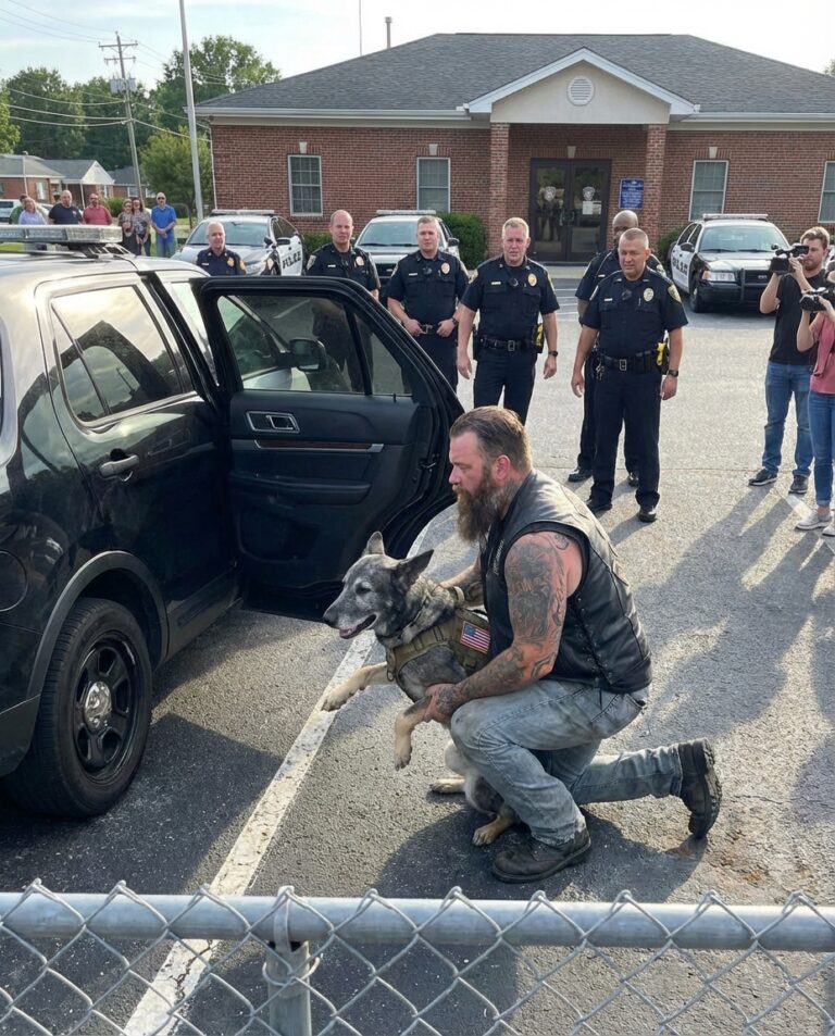 En jättelik motorcyklist bär en gammal polishund ut ur en patrullbil — det han gjorde härnäst tystade hela gatan