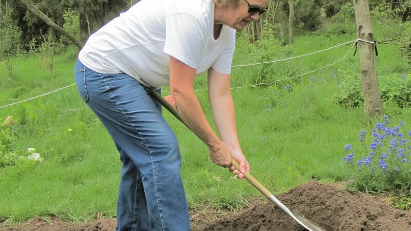 Enquanto cavava no meu jardim silencioso, a pá de repente atingiu algo duro. A curiosidade tomou conta enquanto eu o descobria lentamente, e o que finalmente