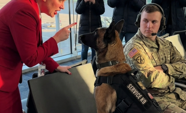 Poista tuo koira täältä—Tämä on ylellinen lounge, ei kennel!